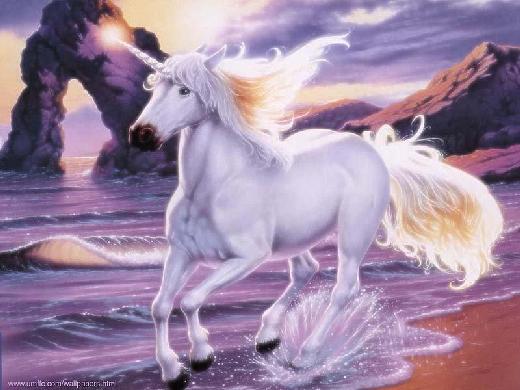Beach Unicorn.jpg