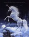 arabian unicorn.jpg